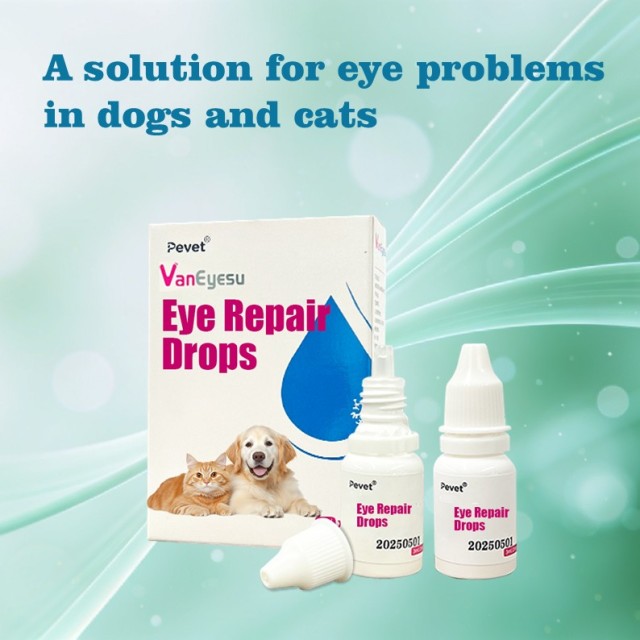 Pevet Corticosteroid Eye Drops for Dogs & Cats – Anti-inflammatory for Keratitis & Iritis, 3ml*2,VanEyeSu Hydrocortisone Acetate Ophthalmic Solution for Dogs and Cats For the treatment of bacterial infections associated with topical ophthalmological conditions such as conjunctivitis, iritis, keratitis and scleritis.,Pevet