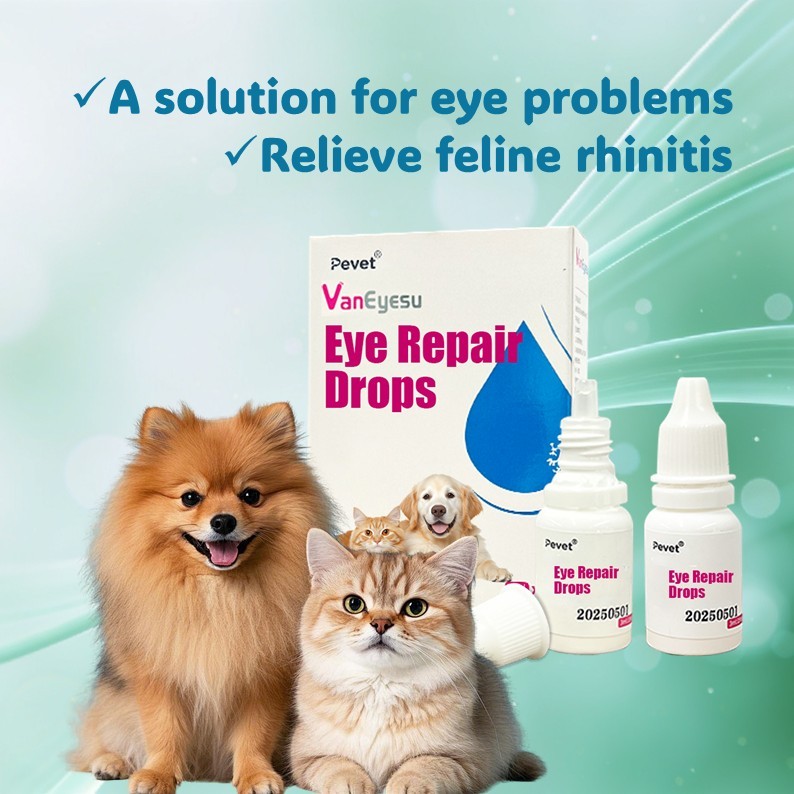 Pevet Corticosteroid Eye Drops for Dogs & Cats – Anti-inflammatory for Keratitis & Iritis, 3ml*2,VanEyeSu Hydrocortisone Acetate Ophthalmic Solution for Dogs and Cats For the treatment of bacterial infections associated with topical ophthalmological conditions such as conjunctivitis, iritis, keratitis and scleritis.,Pevet