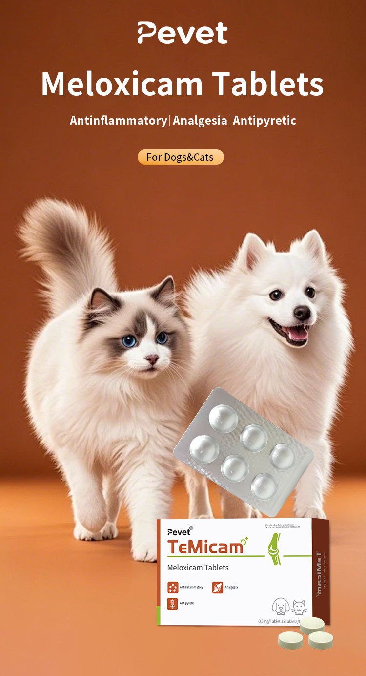 Pevet Treatment for Osteoarthritis Symptoms in Senior Pets - Safe & Gentle Anti-Inflammatory Meloxicam for Dogs,Pevet Treatment for Osteoarthritis Symptoms in Senior Pets - Safe & Gentle Anti-Inflammatory Meloxicam for Dogs,Pevet
