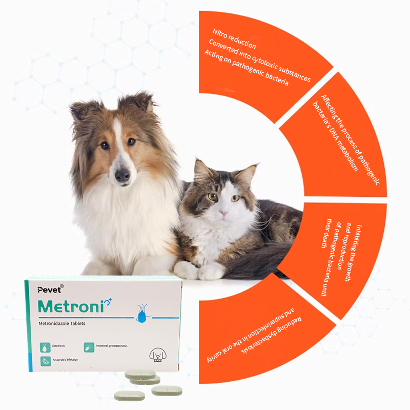 Pevet Canine Anaerobic Infection Cure - Broad-Spectrum Antibacterial Metronidazole for Dogs (Vet-Recommended),Pevet Canine Anaerobic Infection Cure - Broad-Spectrum Antibacterial Metronidazole for Dogs (Vet-Recommended),Pevet