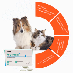 Pevet Canine Anaerobic Infection Cure - Broad-Spectrum Antibacterial Metronidazole for Dogs (Vet-Recommended),Pevet Canine Anaerobic Infection Cure - Broad-Spectrum Antibacterial Metronidazole for Dogs (Vet-Recommended),Pevet