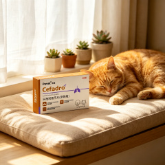 Pevet Cefadroxil Antibiotic Tablets for Dogs & Cats – Broad‑Spectrum Treatment for Bacterial Respiratory & Skin Infections,Pevet Cefadroxil Antibiotic Tablets for Dogs & Cats – Broad‑Spectrum Treatment for Bacterial Respiratory & Skin Infections,Pevet