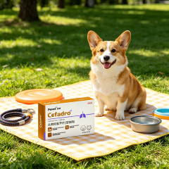 Pevet Cefadroxil Antibiotic Tablets for Dogs & Cats – Broad‑Spectrum Treatment for Bacterial Respiratory & Skin Infections,Pevet Cefadroxil Antibiotic Tablets for Dogs & Cats – Broad‑Spectrum Treatment for Bacterial Respiratory & Skin Infections,Pevet