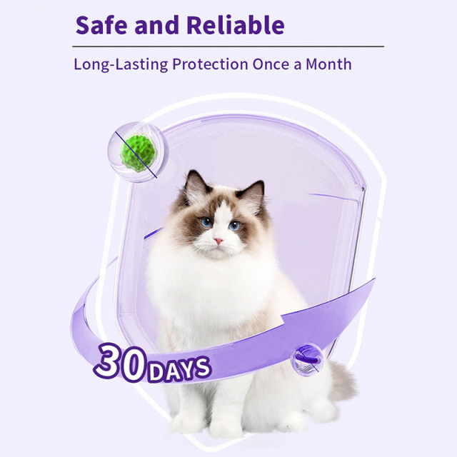 Anthelmintic Dewormer 50mg Fenbendazole Tablets for Dogs & Cats,Anthelmintic Dewormer 50mg Fenbendazole Tablets for Dogs & Cats,Pevet