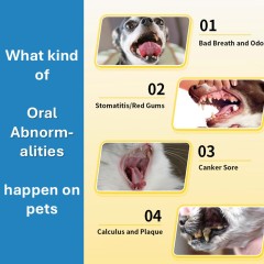 Pevet Natural Eco-Friendly Oral Care Spray for Dogs & Cats-Fresh Scent Absolute Safety 30mL Bottle Daily Use,Pevet Natural Eco-Friendly Oral Care Spray for Dogs & Cats-Fresh Scent Absolute Safety 30mL Bottle Daily Use,Pevet