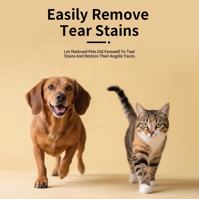 Pevet Eco-Friendly Dog & Cat Tear Stain Remover Eye Care Drops with Natural Extract & Vitamins a D E B Group,Pevet Eco-Friendly Dog & Cat Tear Stain Remover Eye Care Drops with Natural Extract & Vitamins a D E B Group,Pevet