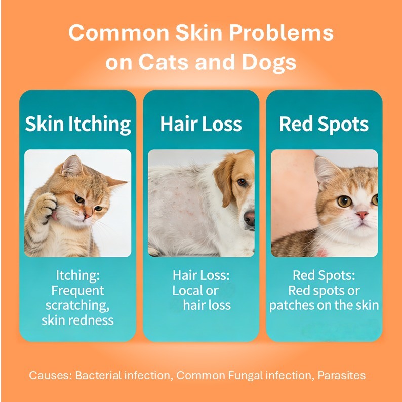 Cat Anti-Scratch Skin Health Tablets Nutritional Care Immune Support Grain-Free Vitamins Minerals Daily Oral Dogs Rabbits,Cat Anti-Scratch Skin Health Tablets Nutritional Care Immune Support Grain-Free Vitamins Minerals Daily Oral Dogs Rabbits,Pevet