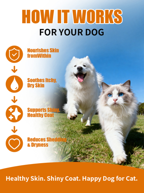 Pevet Hair Nourish Soft Chews Shed Control Root Strong Skin Repair Immune Boost Daily Pet Care Natural Colostrum Turmeric,Pevet Hair Nourish Soft Chews Shed Control Root Strong Skin Repair Immune Boost Daily Pet Care Natural Colostrum Turmeric,Pevet