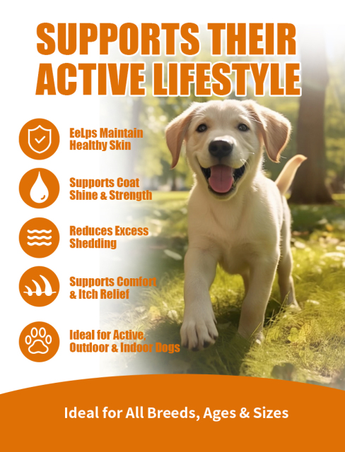 Pevet Hair Nourish Soft Chews Shed Control Root Strong Skin Repair Immune Boost Daily Pet Care Natural Colostrum Turmeric,Pevet Hair Nourish Soft Chews Shed Control Root Strong Skin Repair Immune Boost Daily Pet Care Natural Colostrum Turmeric,Pevet