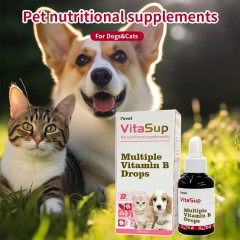 Pet Nutritional Supplement B-Complex Vitamin Liquid Drops for Dogs and Cats Daily Health Care Support with Fast Absorption,Pet Nutritional Supplement B-Complex Vitamin Liquid Drops for Dogs and Cats Daily Health Care Support with Fast Absorption,Pevet
