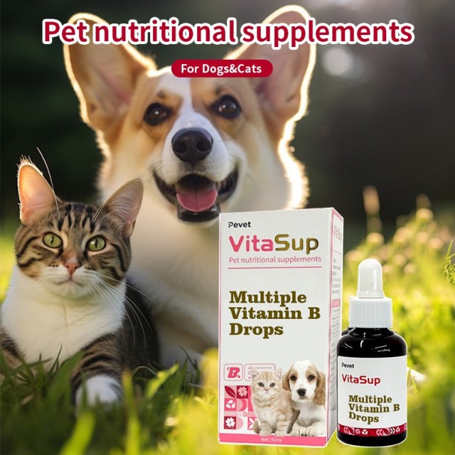 Pet Nutritional Supplement B-Complex Vitamin Liquid Drops for Dogs and Cats Daily Health Care Support with Fast Absorption,Pet Nutritional Supplement B-Complex Vitamin Liquid Drops for Dogs and Cats Daily Health Care Support with Fast Absorption,Pevet
