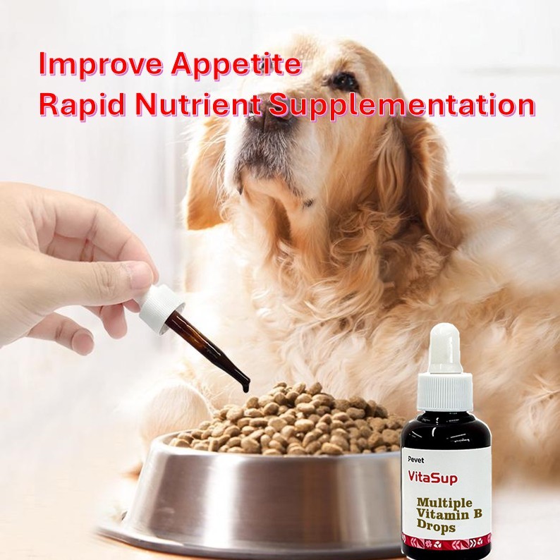 Pet Nutritional Supplement B-Complex Vitamin Liquid Drops for Dogs and Cats Daily Health Care Support with Fast Absorption,Pet Nutritional Supplement B-Complex Vitamin Liquid Drops for Dogs and Cats Daily Health Care Support with Fast Absorption,Pevet