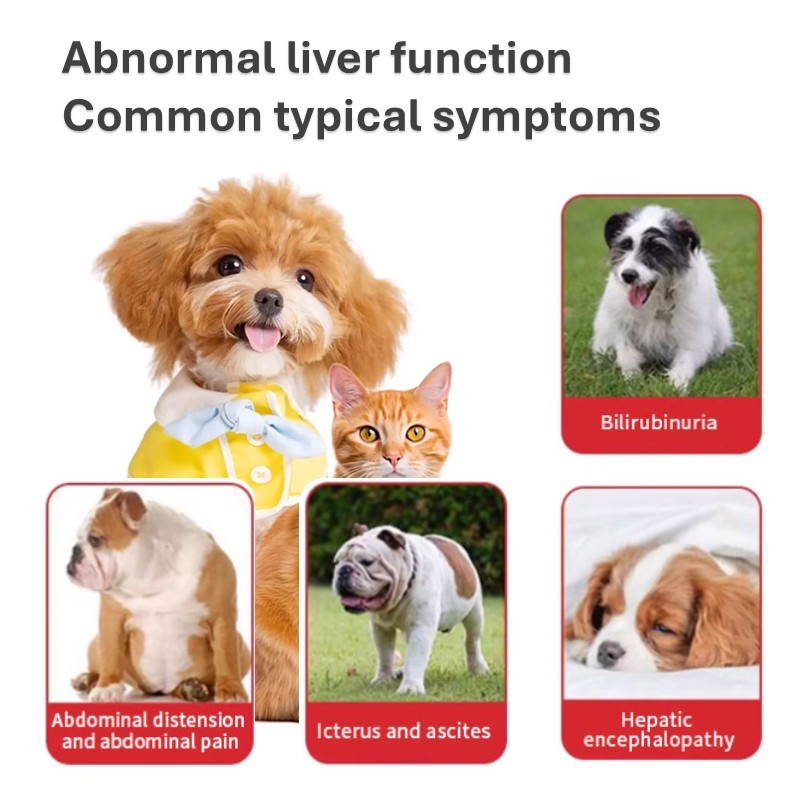 Liver Gallbladder Protect Soft Chew for Dogs Cats-Fast Absorption 3-in-1 Liver Repair Supplement Vitamins Minerals Supports,Liver Gallbladder Protect Soft Chew for Dogs Cats-Fast Absorption 3-in-1 Liver Repair Supplement Vitamins Minerals Supports,Pevet
