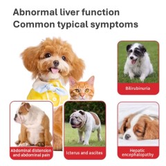 Liver Gallbladder Protect Soft Chew for Dogs Cats-Fast Absorption 3-in-1 Liver Repair Supplement Vitamins Minerals Supports,Liver Gallbladder Protect Soft Chew for Dogs Cats-Fast Absorption 3-in-1 Liver Repair Supplement Vitamins Minerals Supports,Pevet