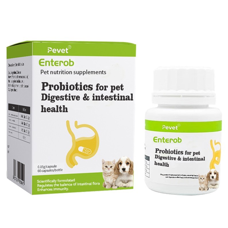 6 Strains Probiotics Capsules Dogs Cats-Gut Flora Balance Immune Support Stomach Intestinal Health Fast Vitamins Supplement,6 Strains Probiotics Capsules Dogs Cats-Gut Flora Balance Immune Support Stomach Intestinal Health Fast Vitamins Supplement,Pevet