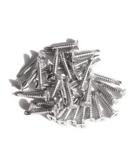SUS 410 Stainless Steel Screws