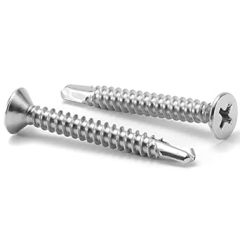 SUS 410 Stainless Steel Screws