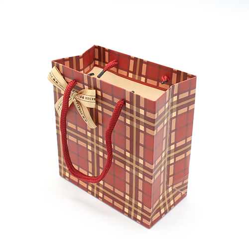 Special Gift Paper Bag