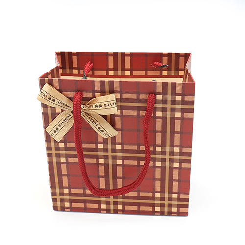 Special Gift Paper Bag