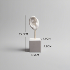 FADELI Ear Shape Jewelry Display Stand Silicone Human Ear Model Jewelry Display Plaster Base Earring Display Holder