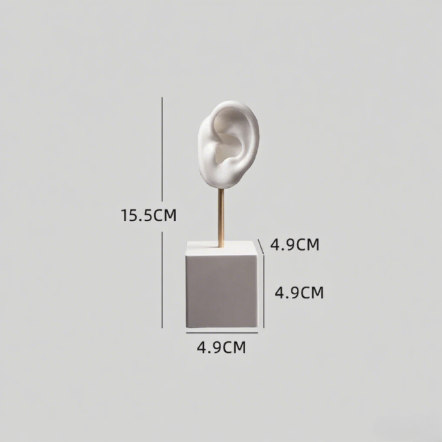 FADELI Ear Shape Jewelry Display Stand Silicone Human Ear Model Jewelry Display Plaster Base Earring Display Holder