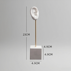 FADELI Ear Shape Jewelry Display Stand Silicone Human Ear Model Jewelry Display Plaster Base Earring Display Holder