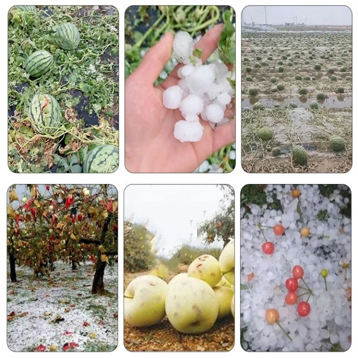 防冰雹网