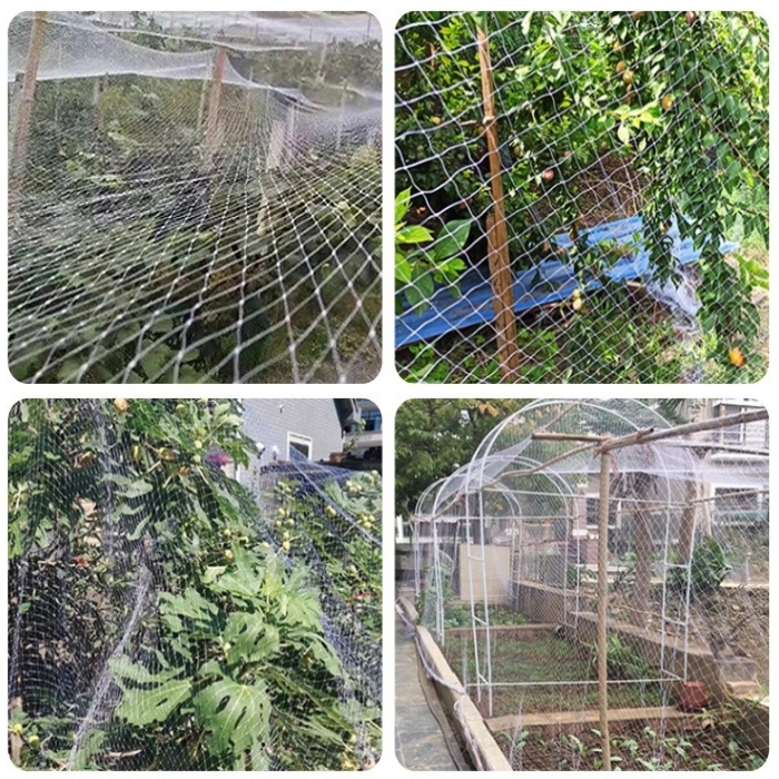 防冰雹网