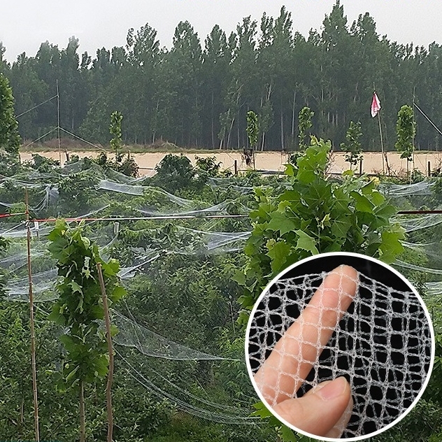 防冰雹网