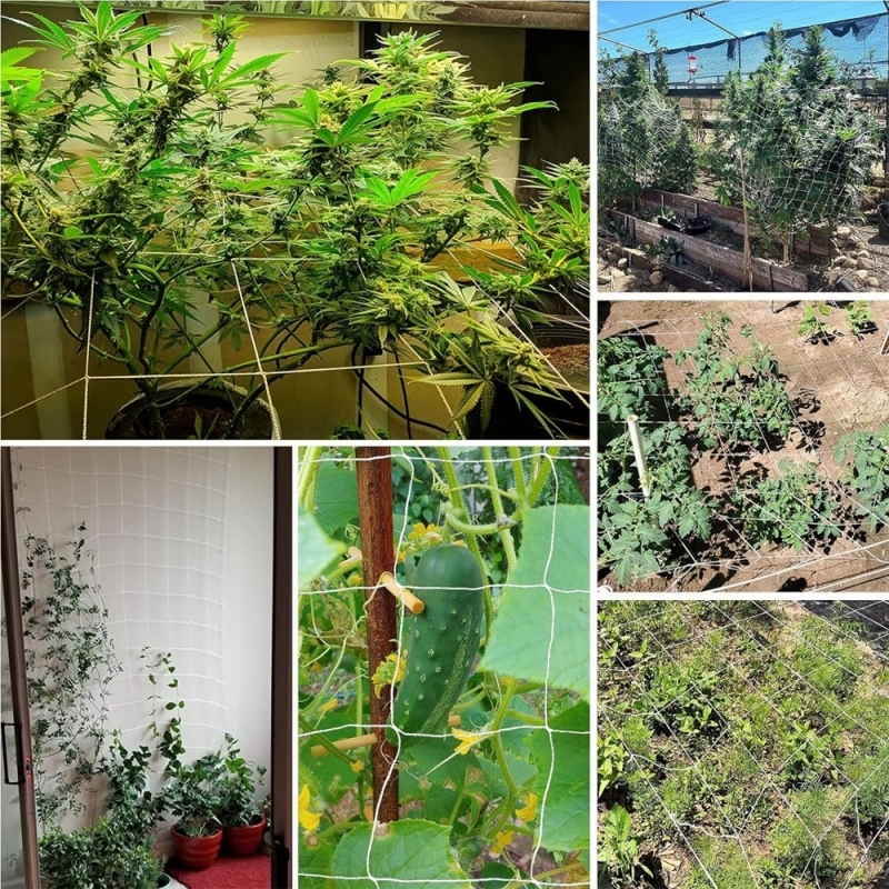 Plant Support Net trellis netting