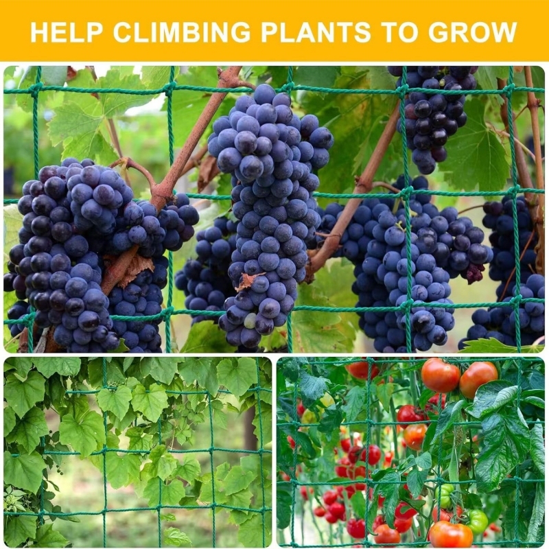 Plant Support Net trellis netting