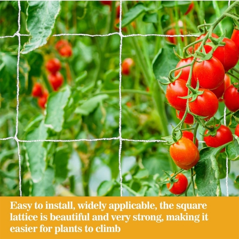 Plant Support Net trellis netting