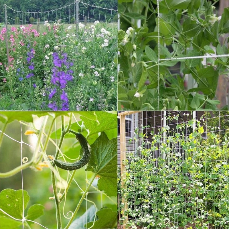 Plant Support Net trellis netting