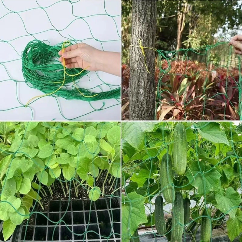 Plant Support Net trellis netting