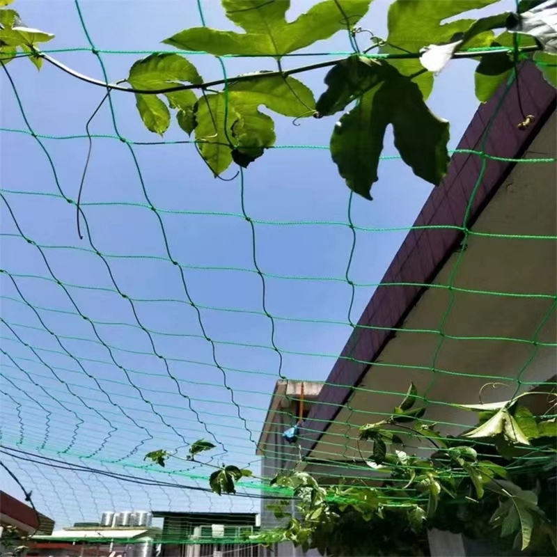 Plant Support Net trellis netting