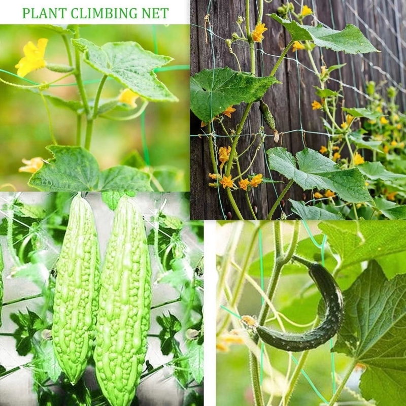 Plant Support Net trellis netting