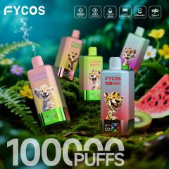 Custom 45ml E-Liquid Prefilled Disposable Electronic Electric Cigarette Charger Puff