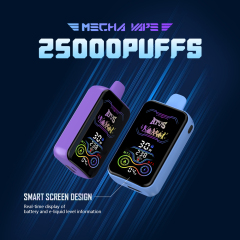 Disposable Vape 25000 Puffs