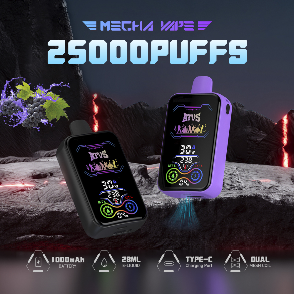 Disposable Vape 25000 Puffs