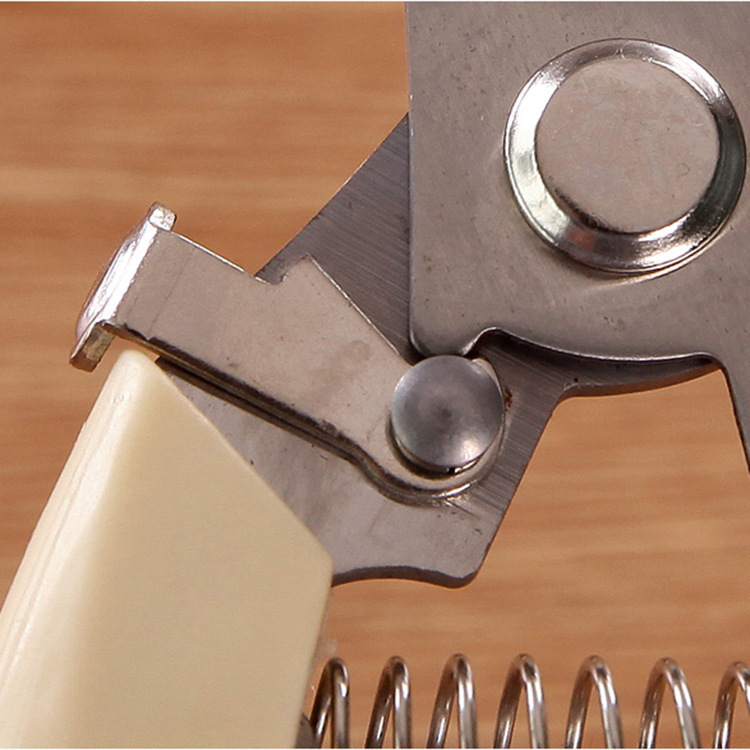 Stainless Steel Pruning Shears Fruit Tree Rough Branch Shears Garden Scissors Shears Branch Special Floral Shears Household Garden Scissors