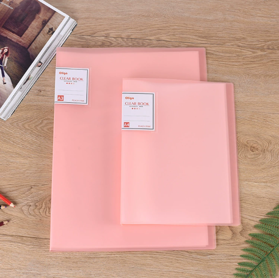 A4 Document Protector