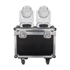 7x40w Bee eyes