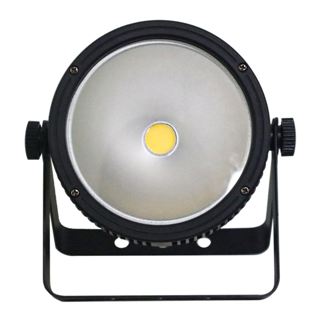 100w COB PAR