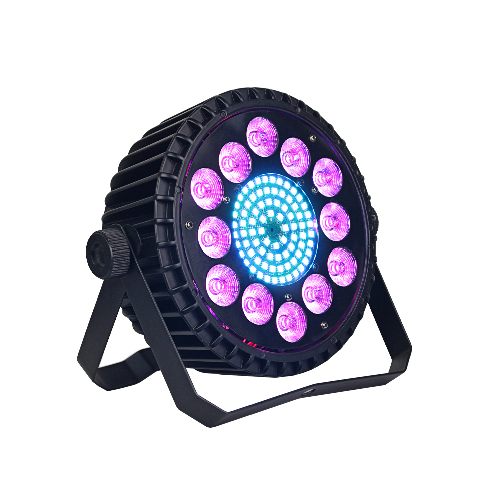 12 LEDs PAR