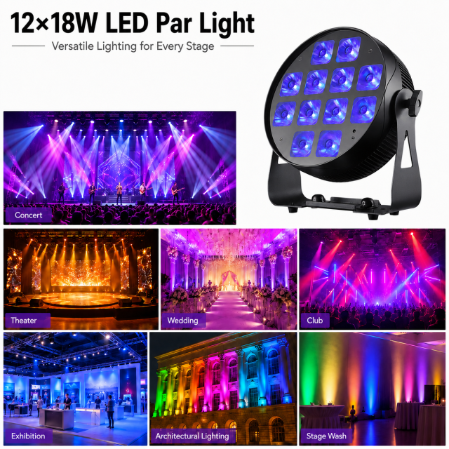 12×18W LED Par Light