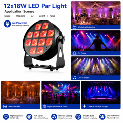 12x18w LED Par Light