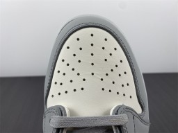 Dior x Air Jordan 1 Retro low  Premium