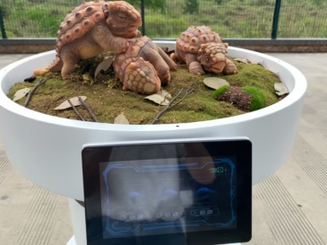 Electronic Ankylosaur With Screen Incubator Water spray & Customizable for Dinosaur Park