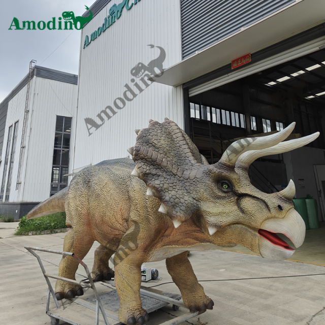 5m long animatronic Triceratops for dino park