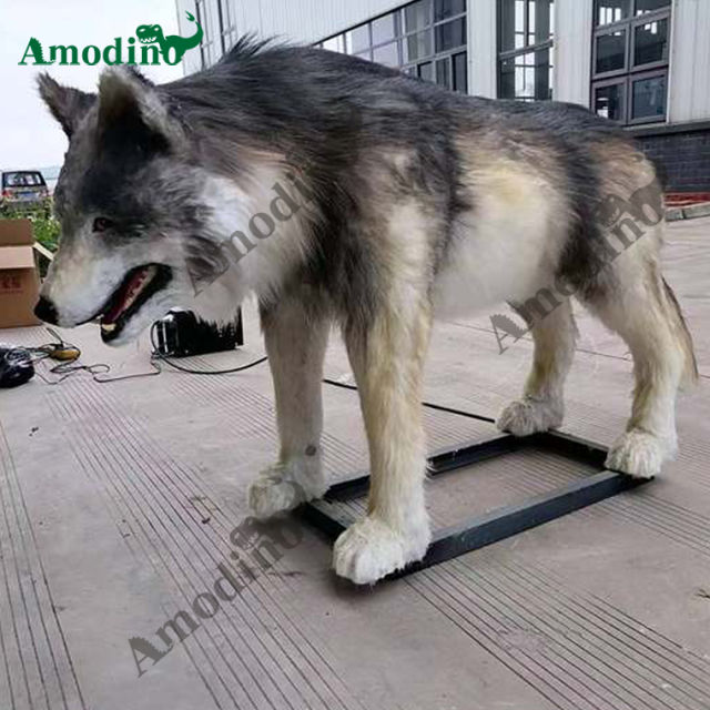 2m long animatronic wolf with high quality
